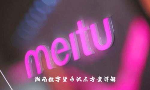 湖南数字货币试点方案详解
