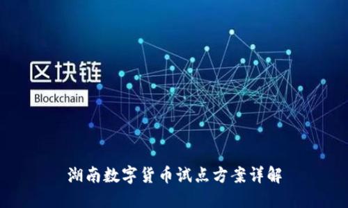 湖南数字货币试点方案详解