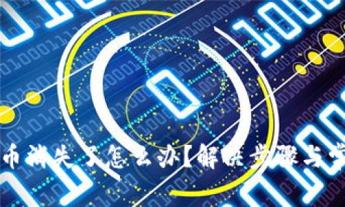 TP钱包里的币消失了怎么办？解决步骤与常见问题解析
