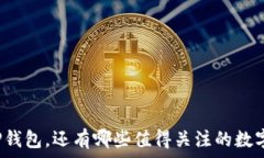   除了TP钱包，还有哪些值得关注的数字钱包?