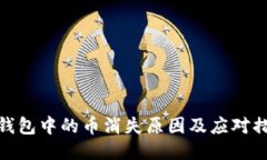 TP钱包中的币消失原因及应对措施