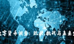 : 数字货币调查: 现状、挑战与未来发展