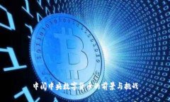 中闺中央数字货币的前景与挑战