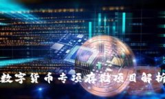数字货币专项存储项目解析