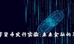 探索数字货币发行实验：未来金融的革命之路
